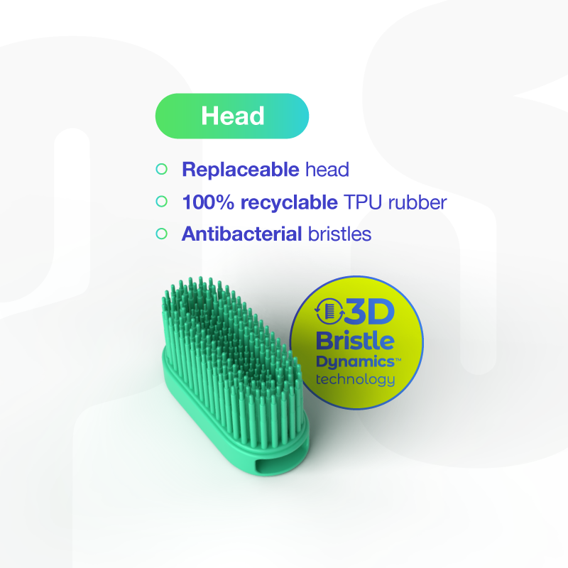 3D hlavy Britle DynamicsTM