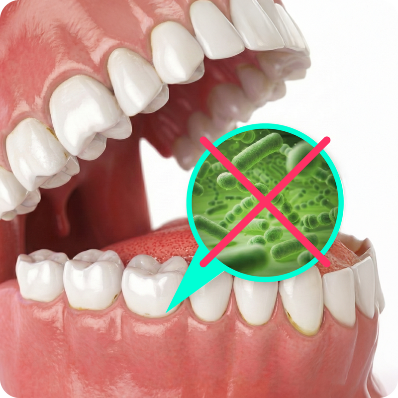 2. Naturally fights the bacteria that cause cavities
