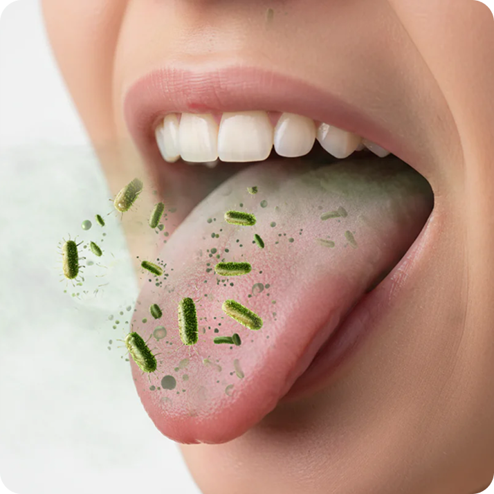 Svež dah se začne tukaj